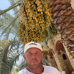 , 41, 
