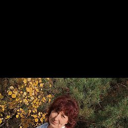 ����, ������, 48 ���