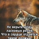 ���� ������, ������, 39 ��� - ��������� 18 ������� 2025 � ������ ���� ����������