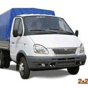 ���������, 41 ���, ������