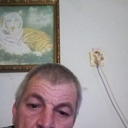 , 42, 
