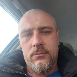 ������, ������, 43 ����