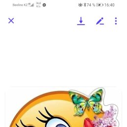 ���� ����������, ��������, 40 ��� - ��������� 10 ������ 2023