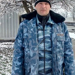 �������, ����, 46 ���