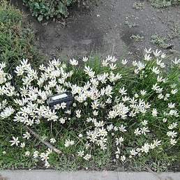 ���� �����, ������ - ��������� 29 ������� 2025