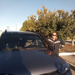 �����, ������, 38 ���