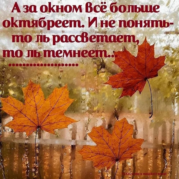   ! - 18  2025  16:33