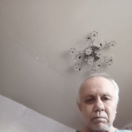 , 65 , 