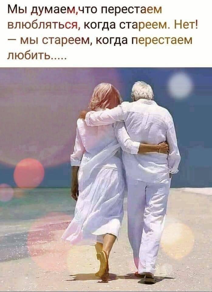 Lunapet - 1  2025  18:29