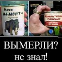 ���� Vl@d, ������� - ��������� 1 ���� 2026 � ������ ���������...�