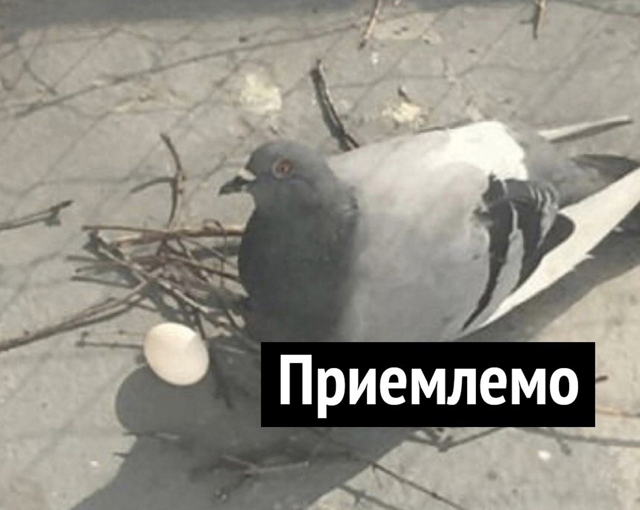    - 3