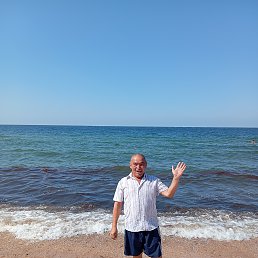, 51, 