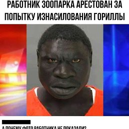 ���� ����, ������, 46 ��� - ��������� 25 ������� 2024