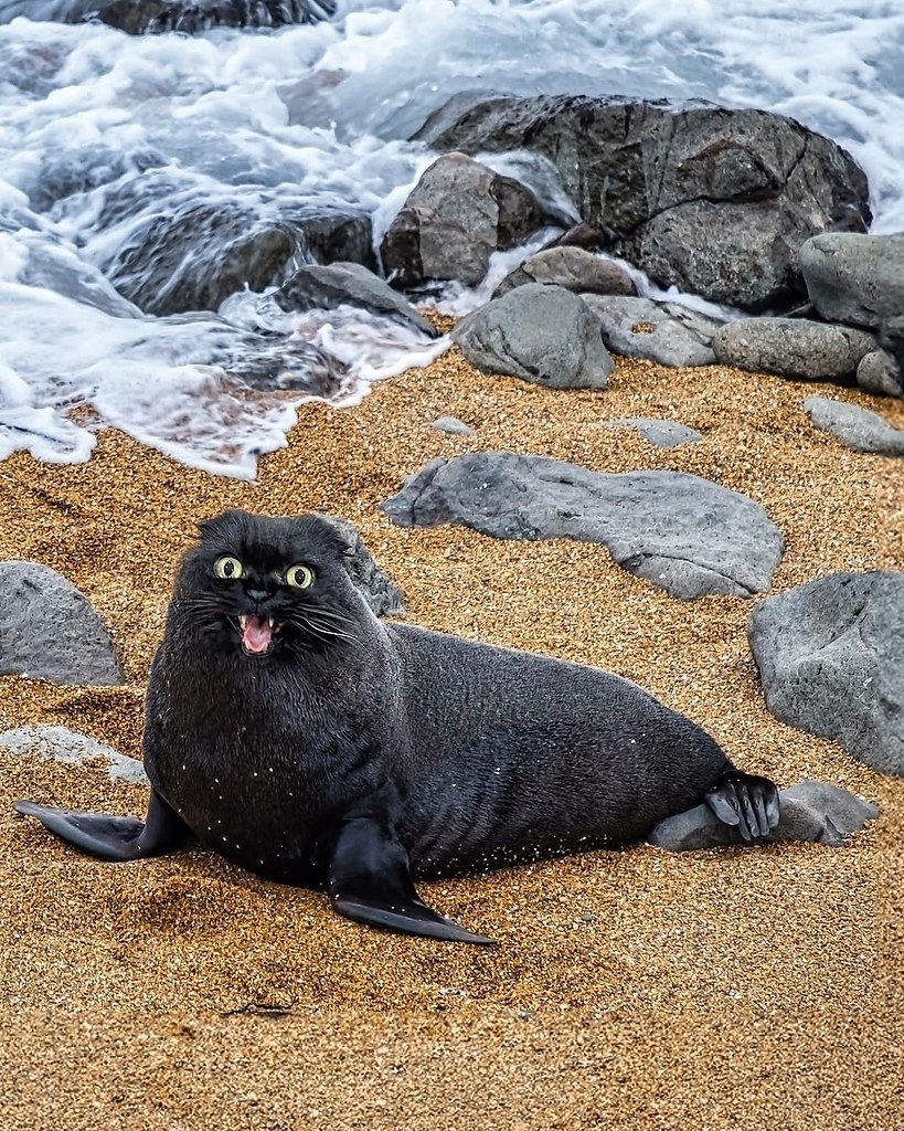 �����������, ���� �������� ������� ������� � ���� ������ � ��������� ������ - 4