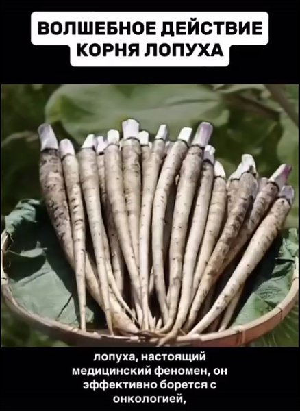 ����������� ���������, ����� ������ ���������� ������ ���� ��� �����!