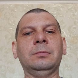 ���������, ������, 40 ���