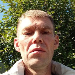 ���� �����, ����, 44 ����