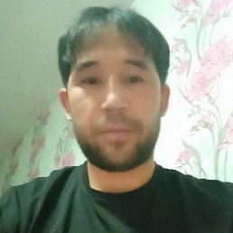 , 29, 