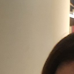 ���������, ������, 41 ���