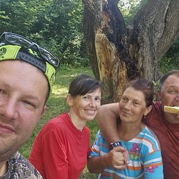 , 56, 