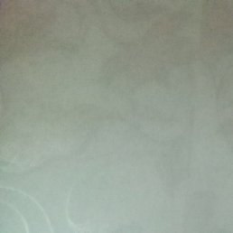 ˸��, �������, 53 ����