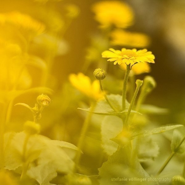    - 29  2024  12:13 - 5