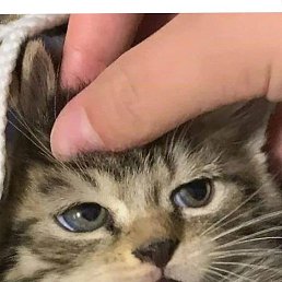 �����, ������, 23 ����