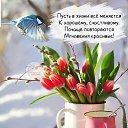 ���� �������, ���������� - ��������� 1 ������� 2026 � ������ ������ ��������