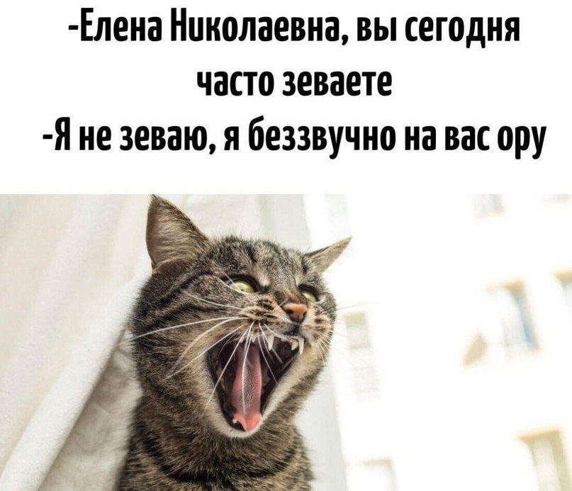   - 28  2023  16:01