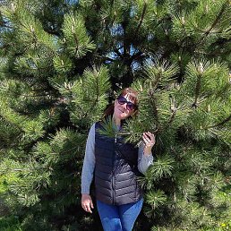 ���������, �������, 52 ����