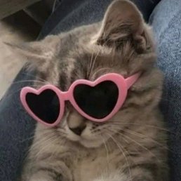 ������, �����, 24 ����