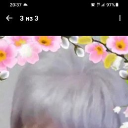 ���� ����, ���������, 38 ��� - ��������� 15 ������ 2023