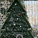 ���� �����, ��������, 61 ��� - ��������� 27 ������� 2025 � ������ ���� ����������