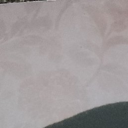 , , 50 