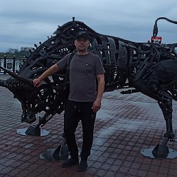 �������, �����������, 40 ���