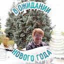 ���� ����, ������ �������� - ��������� 23 ��� 2024 � ������ ���� ����������