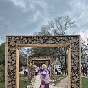 ���� ����, ������, 41 ��� - ��������� 22 ���� 2026 � ������ ���� ����������