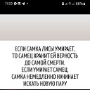 ���� �������, �������� - ��������� 6 �������� 2025 � ������ ������ ��������