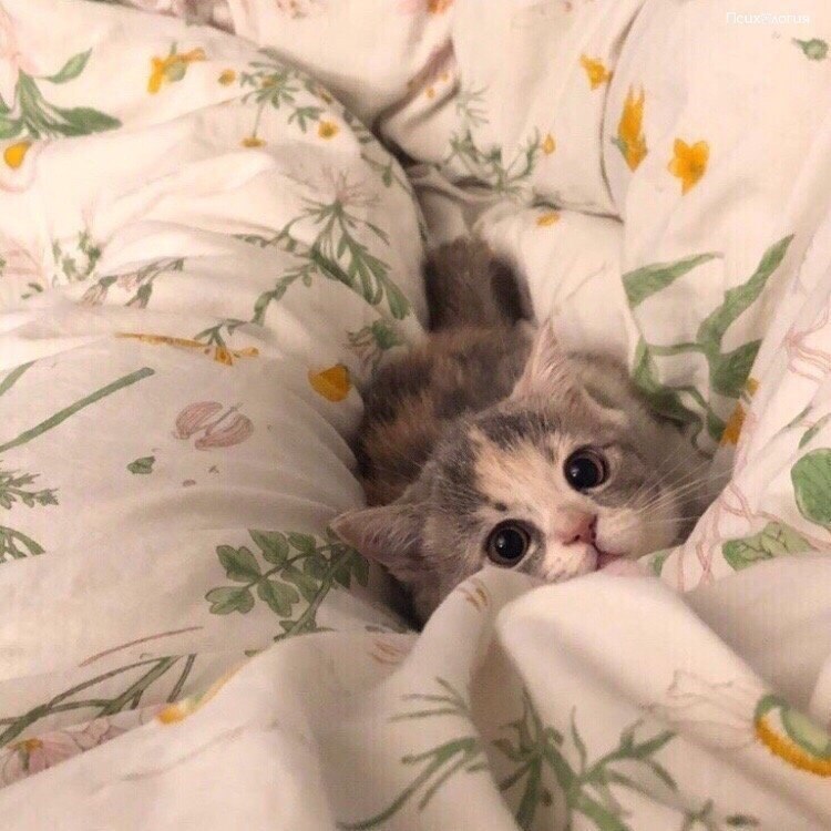   ,            !)