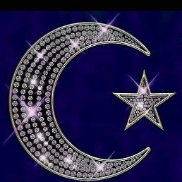 ��������, ������, 43 ����