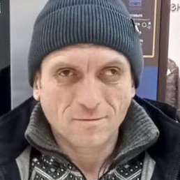 ������� ��������, ����, 41 ���