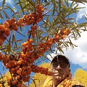 ���� �������, ������, 63 ���� - ��������� 24 ������� 2023 � ������ ���� ����������