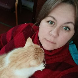 �������, ��������, 40 ���