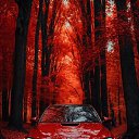 ���� ������, ������ �����, 54 ���� - ��������� 29 ������� 2023 � ������ ����� �� ��������