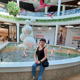 ���� �����, �����-���������, 54 ���� - ��������� 7 ������ 2026