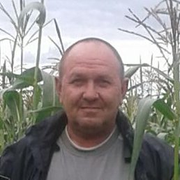 �����, ������, 61 ���