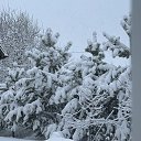 ���� ����, ������, 70 ��� - ��������� 8 ������ 2025 � ������ ���� ����������