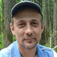 �������, 48 ���, ������