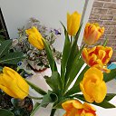 ���� Julia, ����, 47 ��� - ��������� 12 ����� 2026
