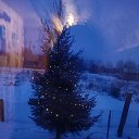 ���� �����, �������, 44 ���� - ��������� 24 ������� 2025 � ������ ���� ����������